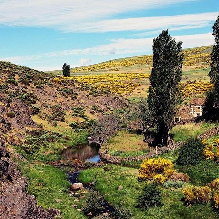 Casa Rural La Vereilla Barajas de Gredos 外观 照片