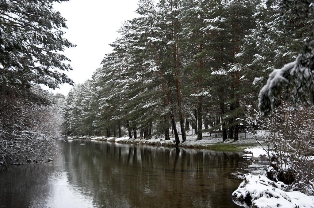 Casa Rural La Vereilla Barajas de Gredos 外观 照片