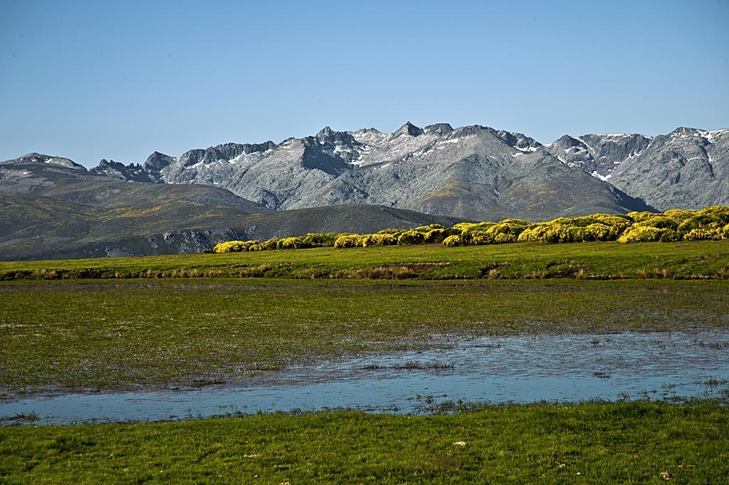 Casa Rural La Vereilla Barajas de Gredos 外观 照片