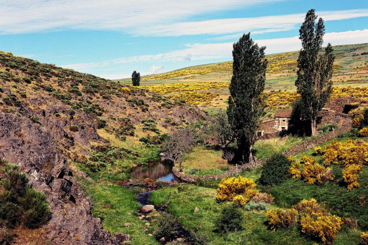 Casa Rural La Vereilla Barajas de Gredos 外观 照片
